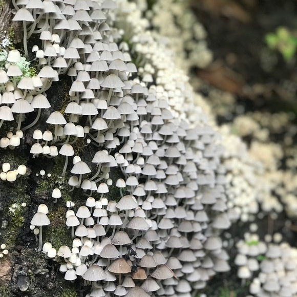 Meet your Posher, Hilary - Picture 1 of 1